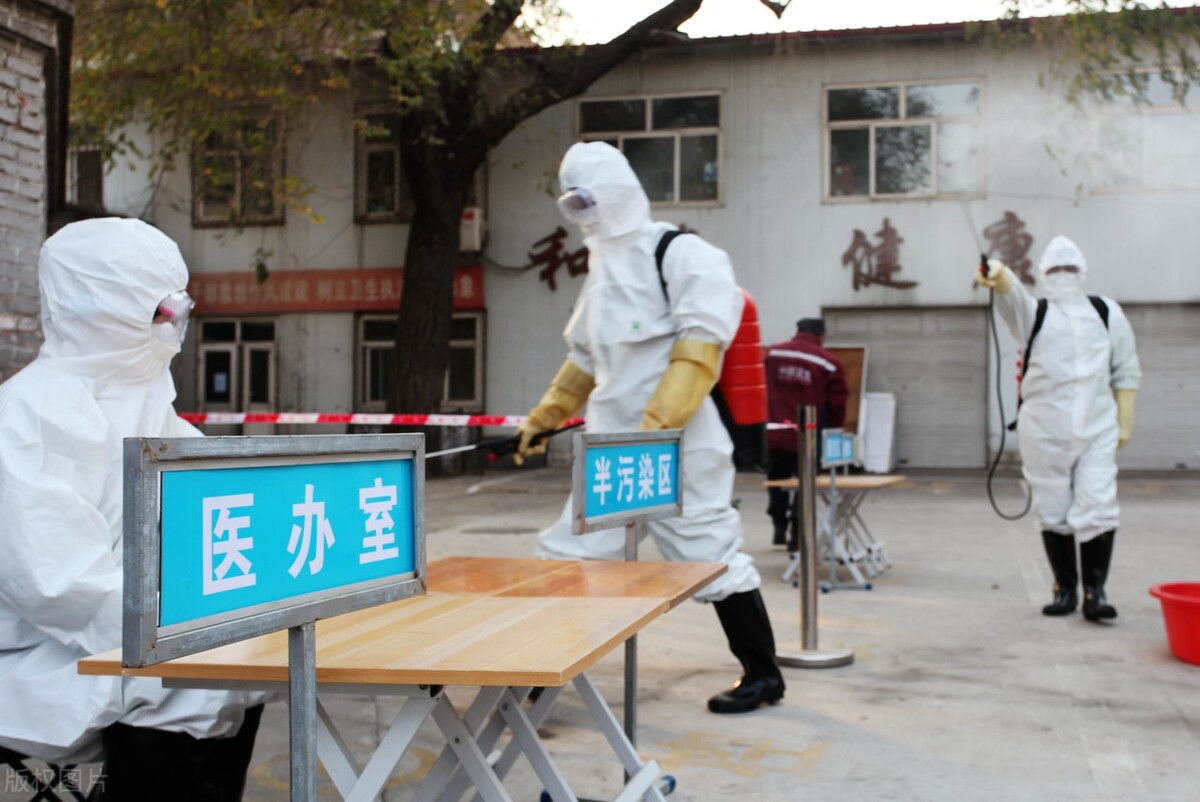 西安出现多例出血热，竟是因为吃草莓？危害堪比埃博拉？辟谣解读