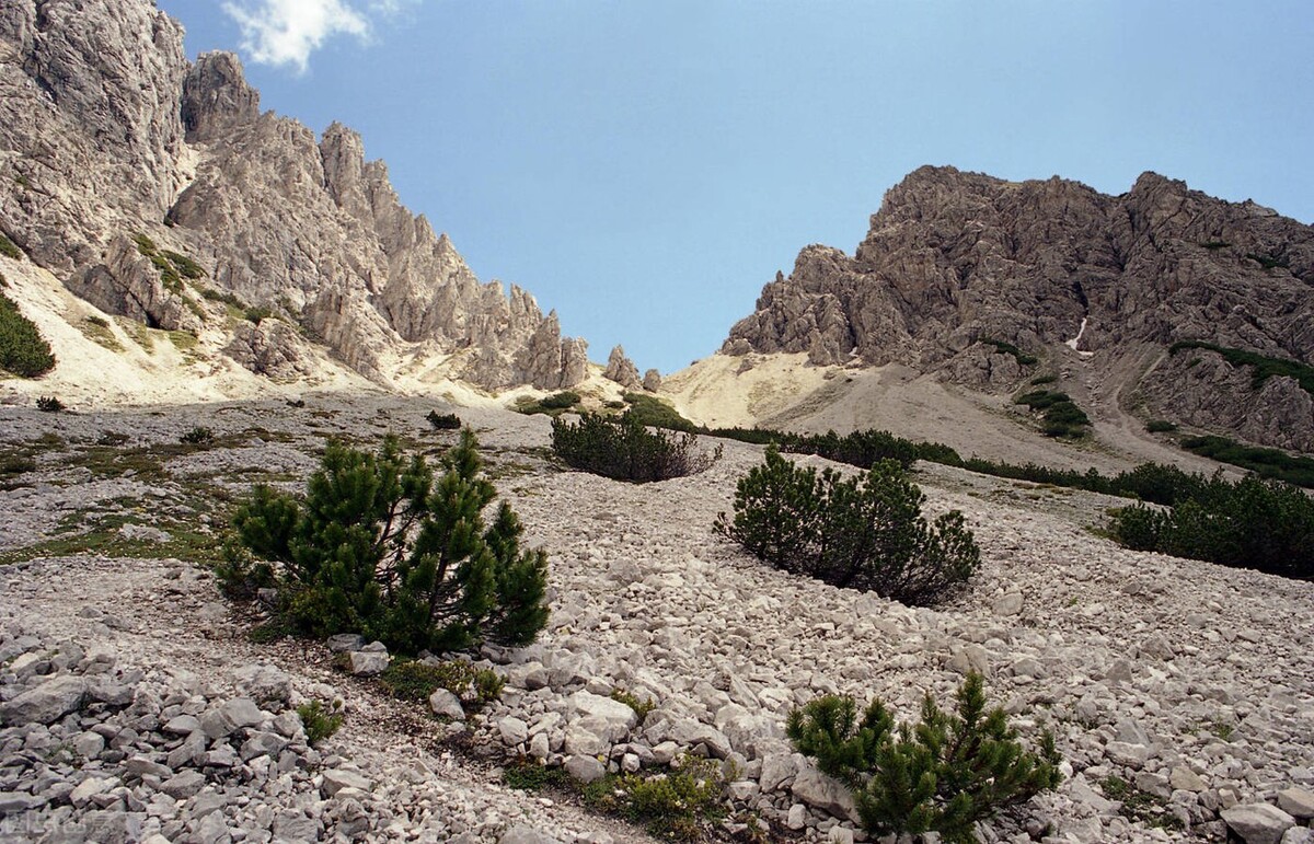 链游开发公司 链游系统开发