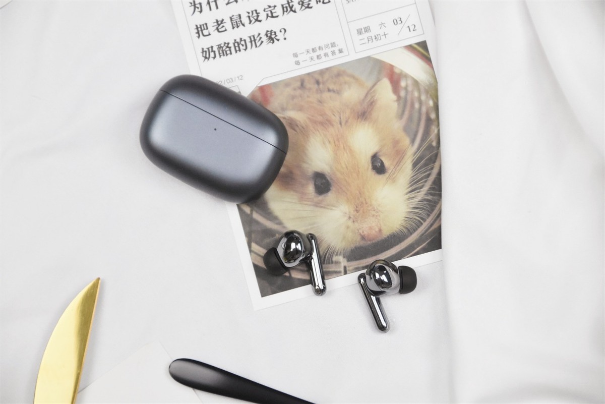 智慧降噪，体温AI监测，荣耀Earbuds 3 Pro买这么贵好在哪？