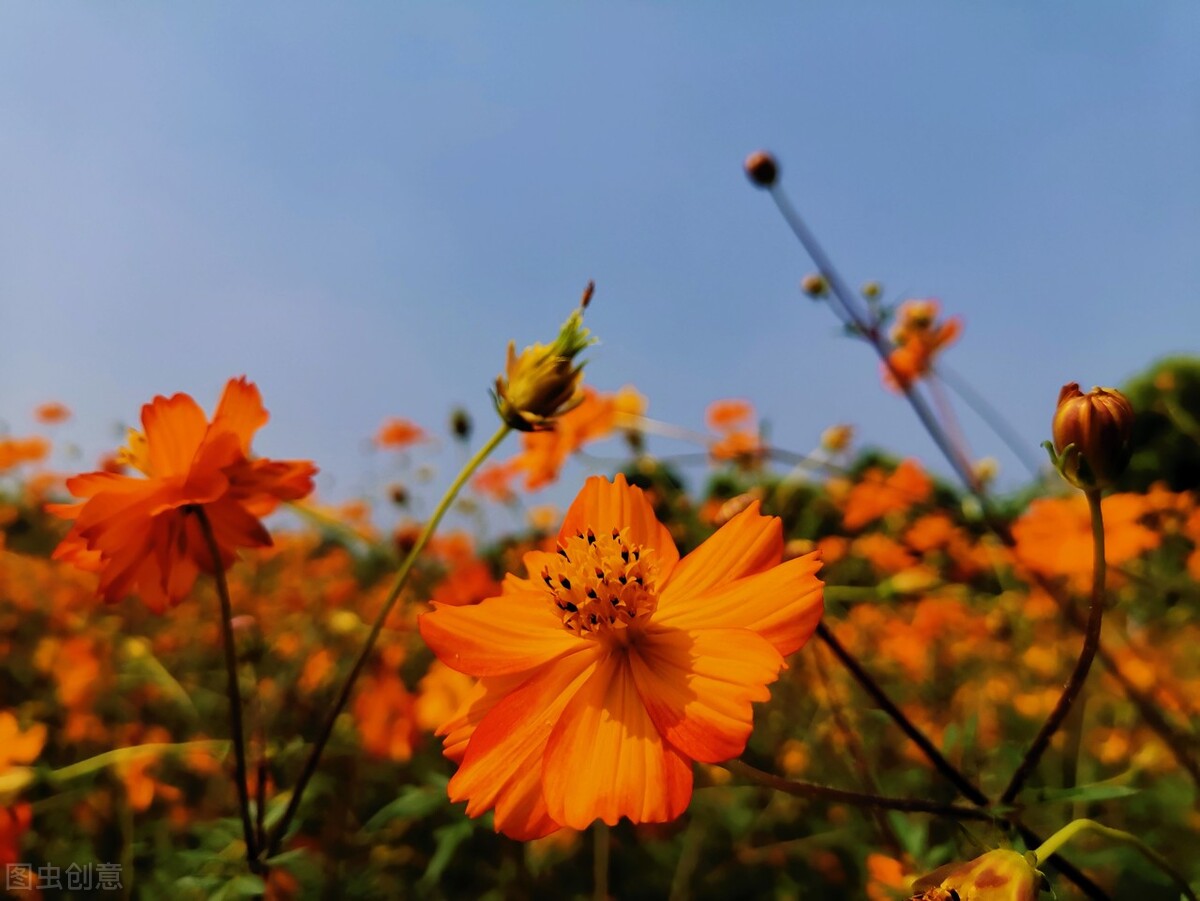 了解性耻感，积极应对青春期“谈性色变”问题