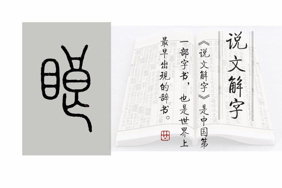 瞥怎么读（《说文解字》第661课：“瞥了一眼”的“瞥”）