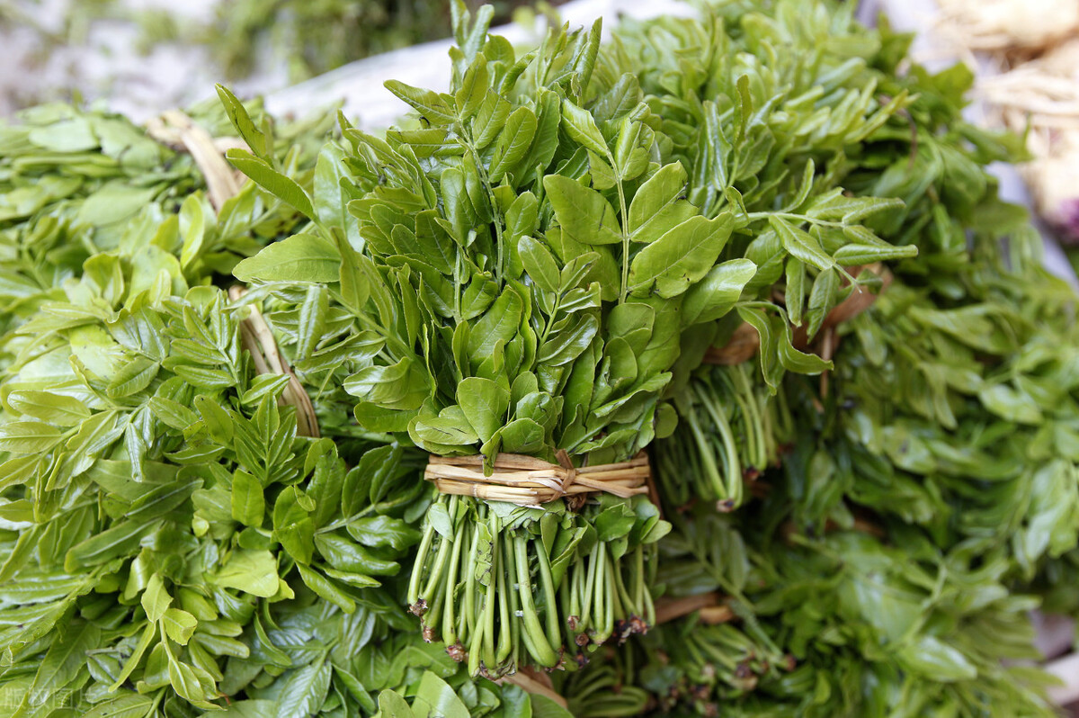 童年的美味長大後卻很難吃到的100種野菜你吃過幾種三