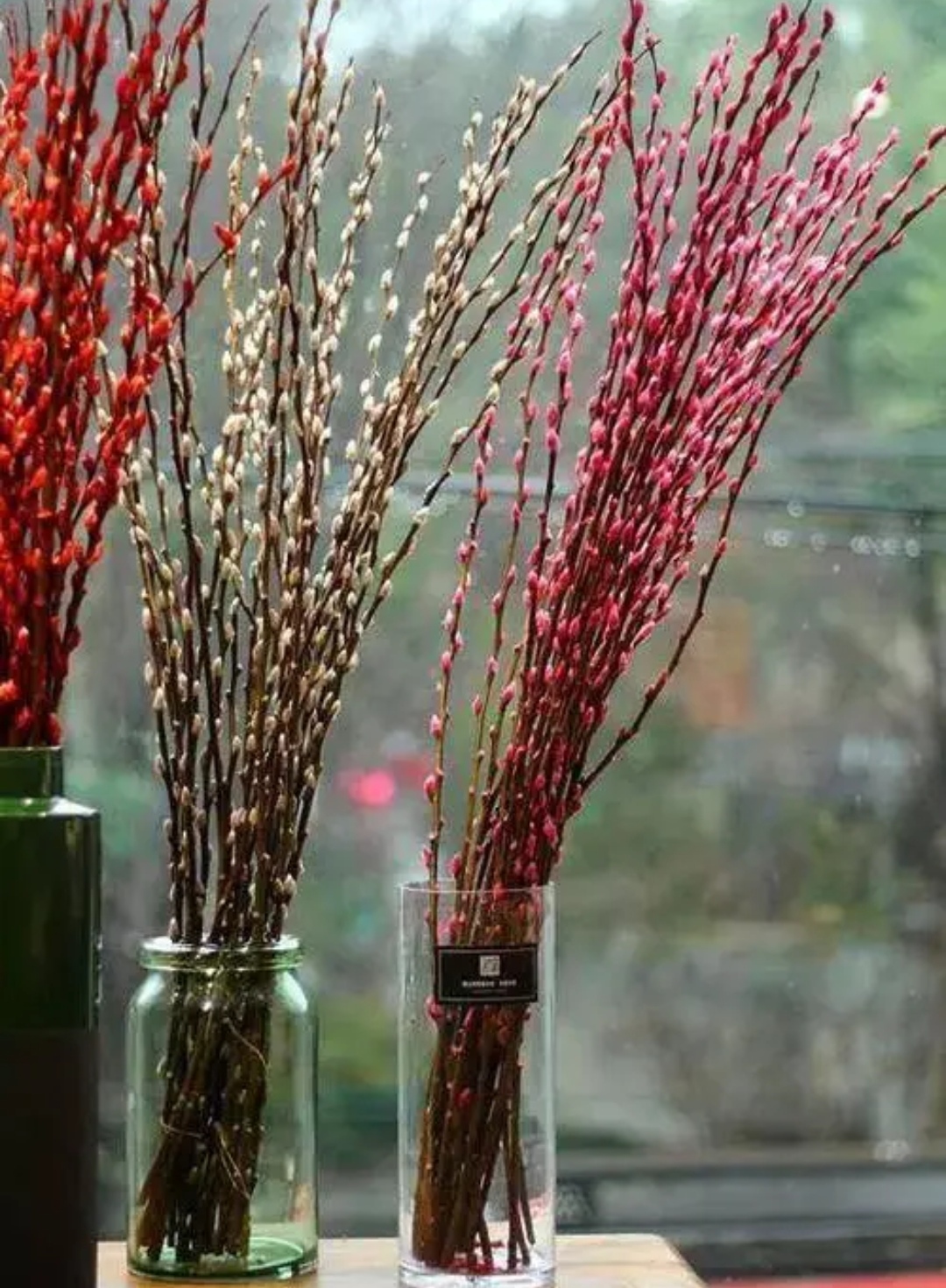 并加色素的花,最好扔掉,这不是迷信,是老一辈的经验,如果真心喜欢银柳