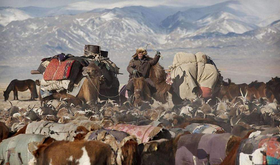 蒙古羊今日价格「蒙古币对人民币汇率今日价格」