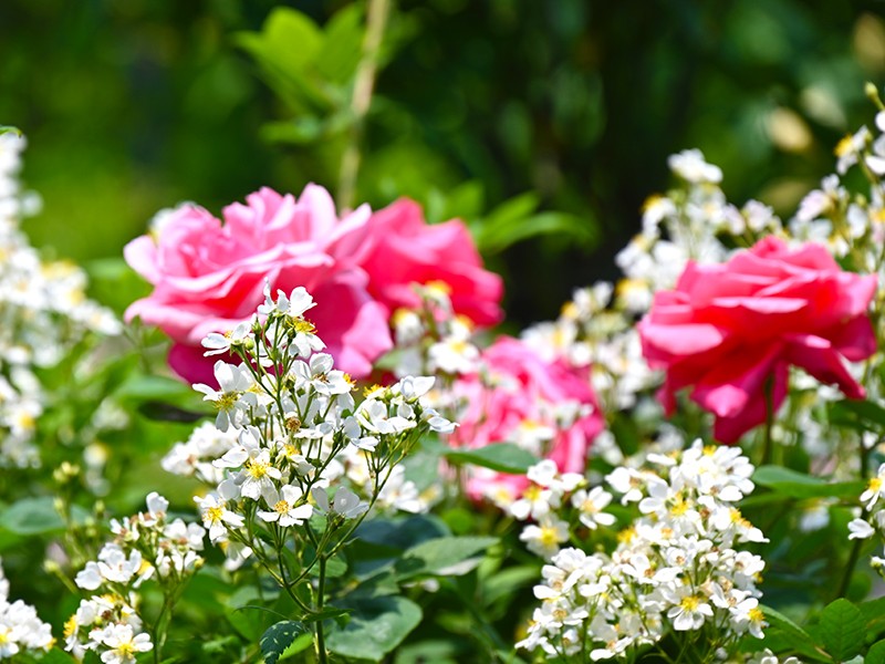 规模最大、规格最高！400多所院校集结，重庆这所大学拿下全国一等奖！