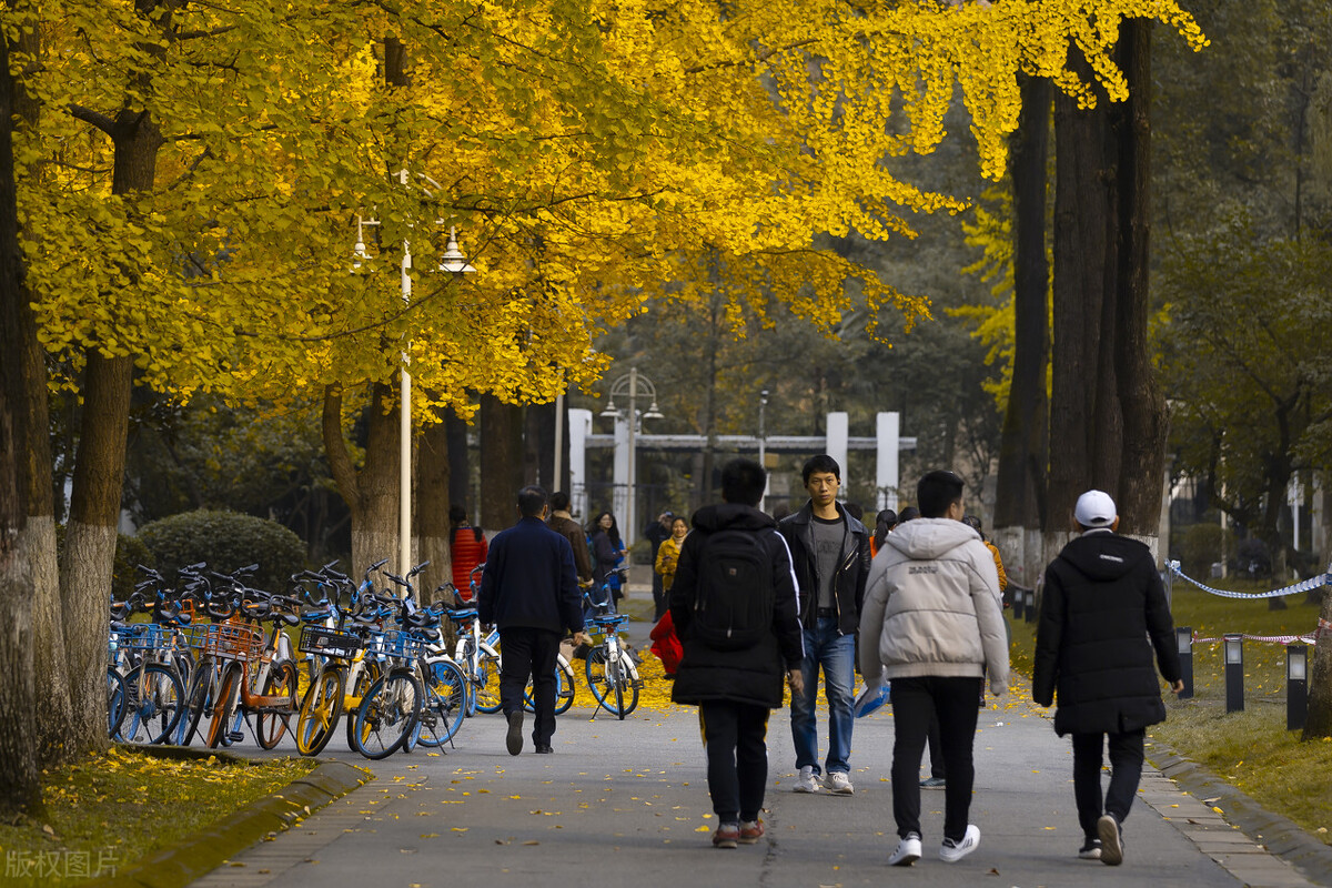 2022升学报考｜聚焦院校｜电子科技大学