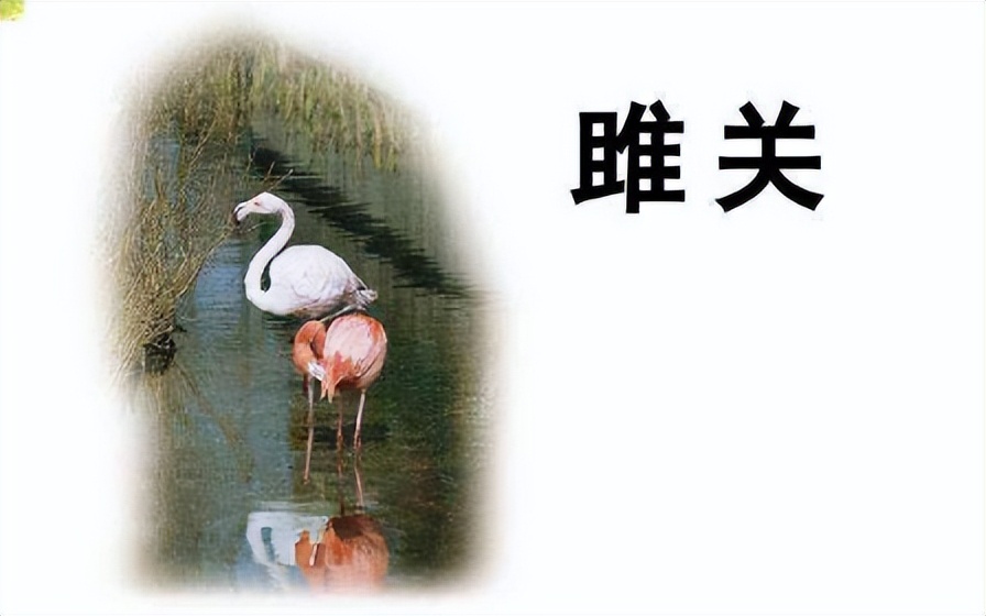 雎和睢怎么读？3秒内你能看出哪里不同吗？