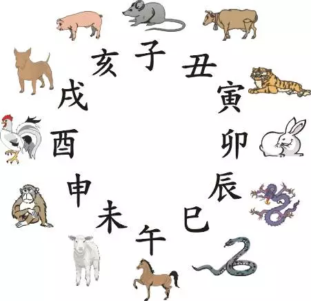 生肖排序是怎么排的（生肖排列顺序）-大连信息网