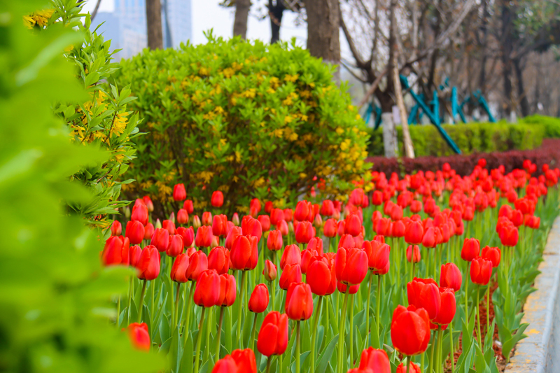 �������� | ��������·������������