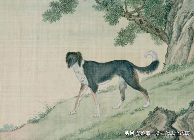 古代志怪故事：《集异新抄》选译两则（鬼药方，老倌儿）