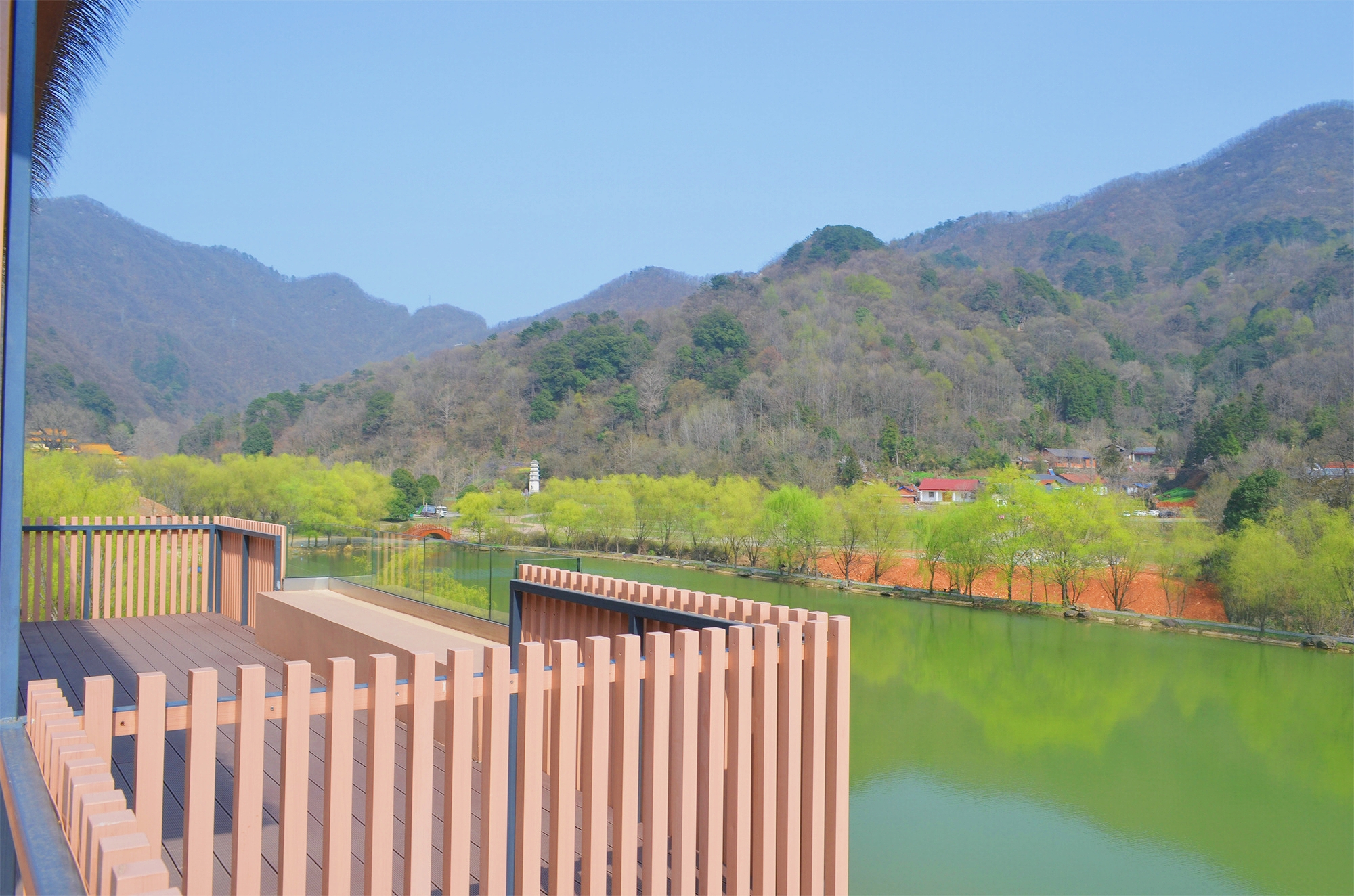 武汉自驾2H，打卡高山野樱花瀑布~花间漫步，自在山居，太浪漫