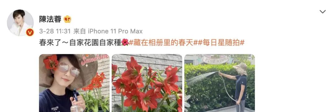 至今未嫁的10位大龄港台女星，有人皈依佛门，有人被骗后心灰意冷
