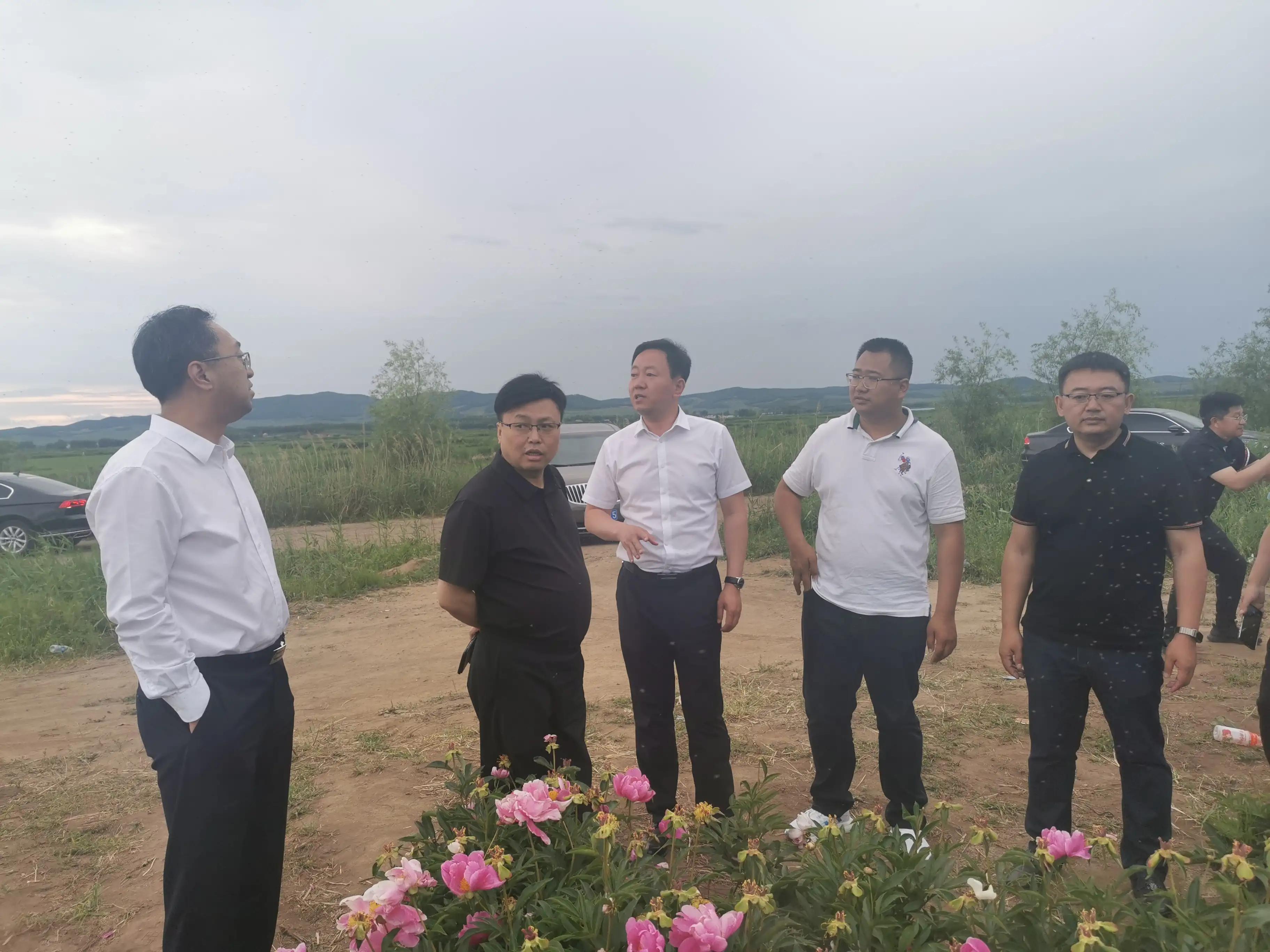 优化体制机制，发挥龙头企业引领示范作用