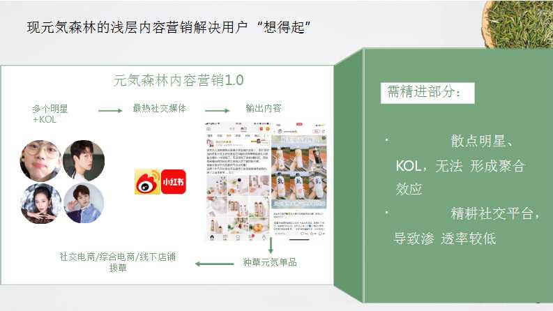 元气森林森林媒介投资规划PPT「食品饮料」「种草带货」