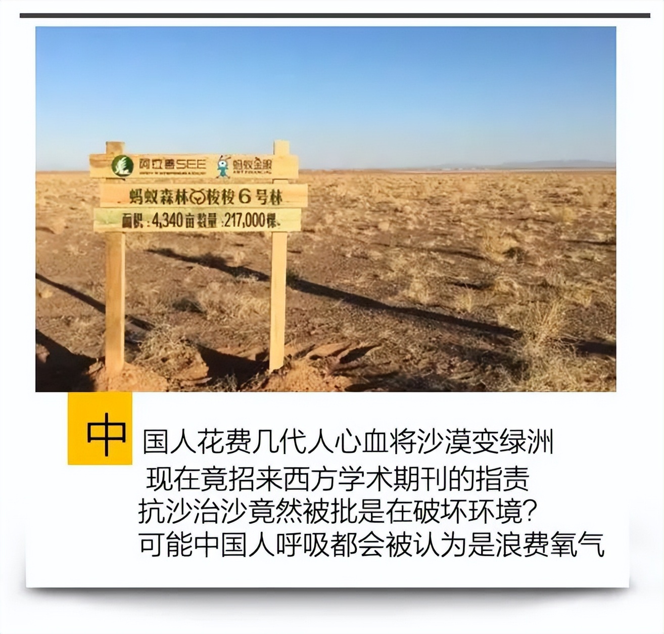 舆论战的奇迹，中国每年强迫数亿棵新树被种植