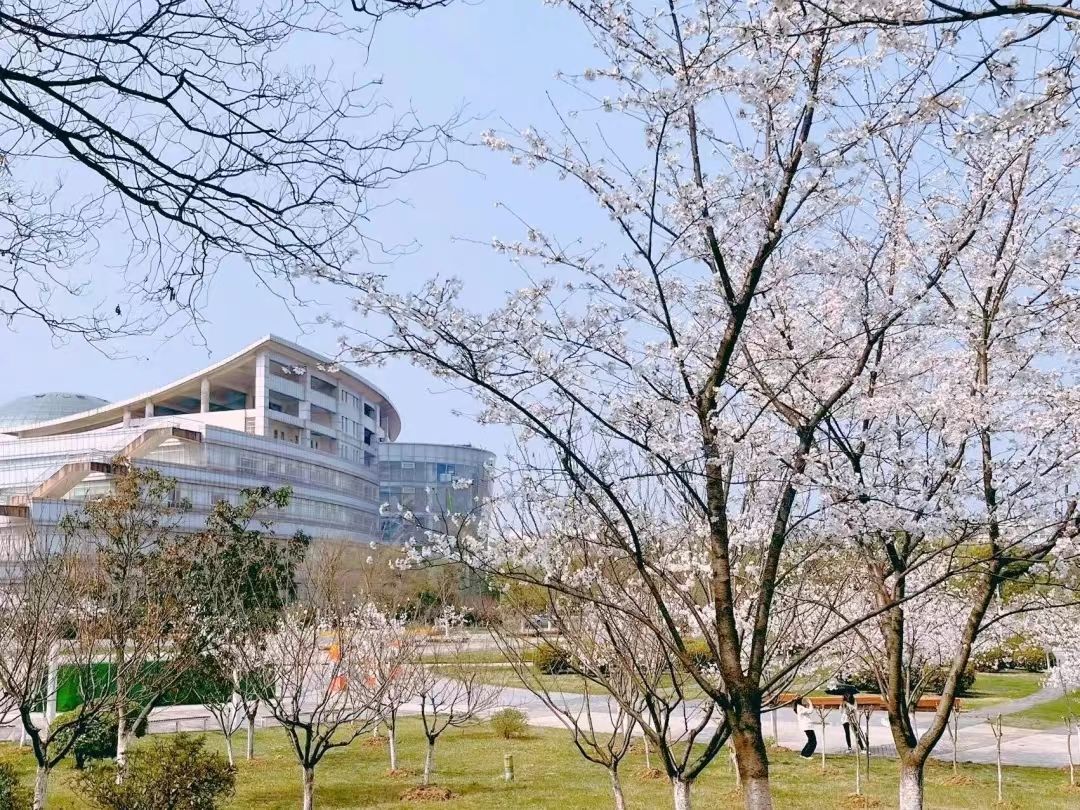 江苏省将全面提升这一经济发展！未来，这类专业人才“很吃香”