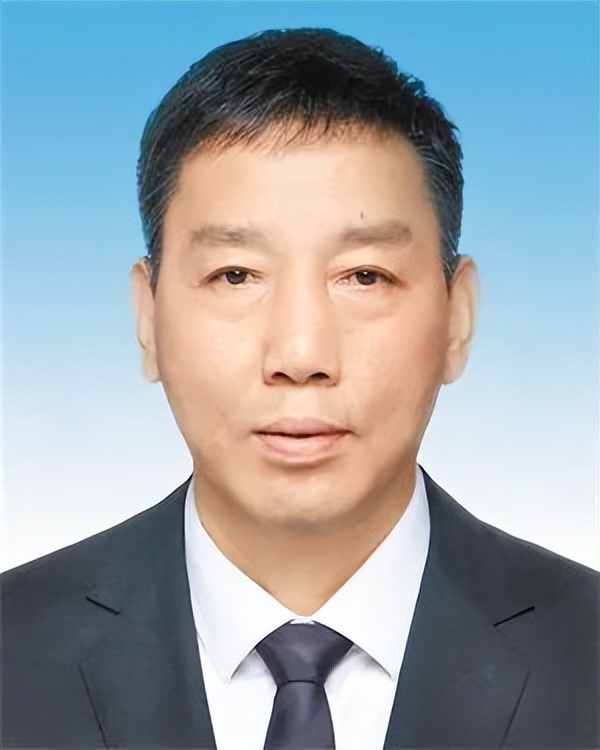 陳敏爾當選重慶市委書記，4人新晉常委｜王林虎，新職明確