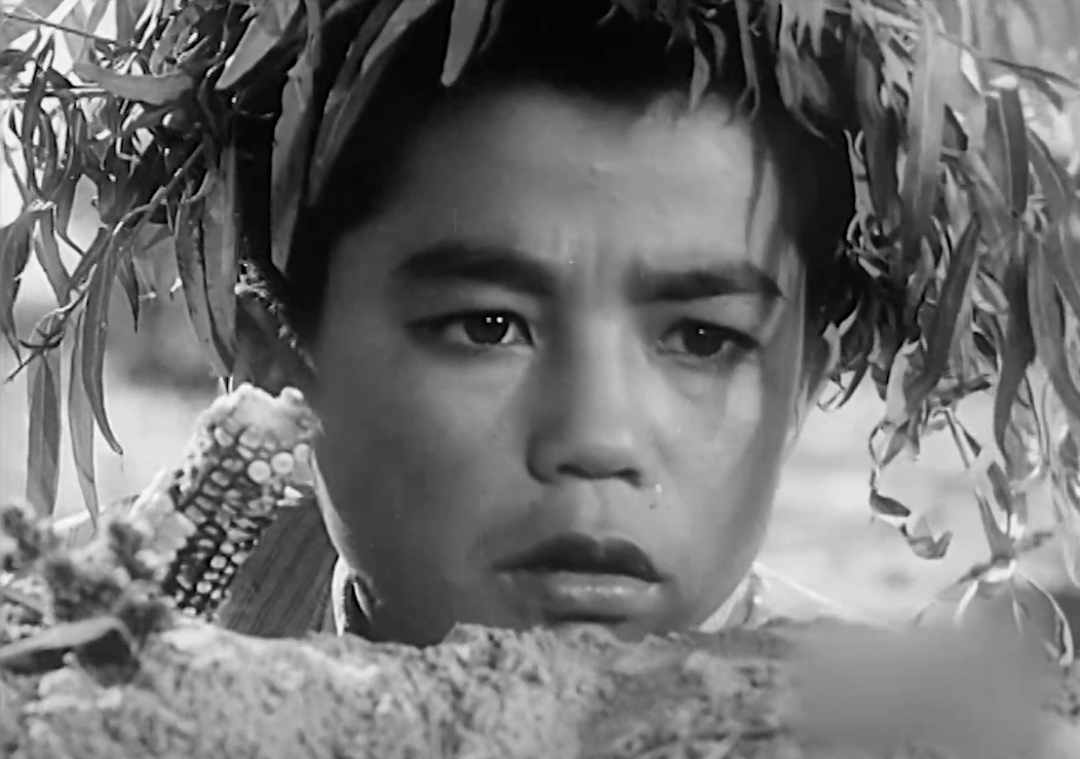 小兵张嘎简介 小兵张嘎演员简介-百联百科