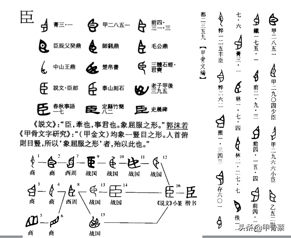 德甲骨文什么意思(解读甲骨文"德",解密上古中国"结绳而治"的契约时代