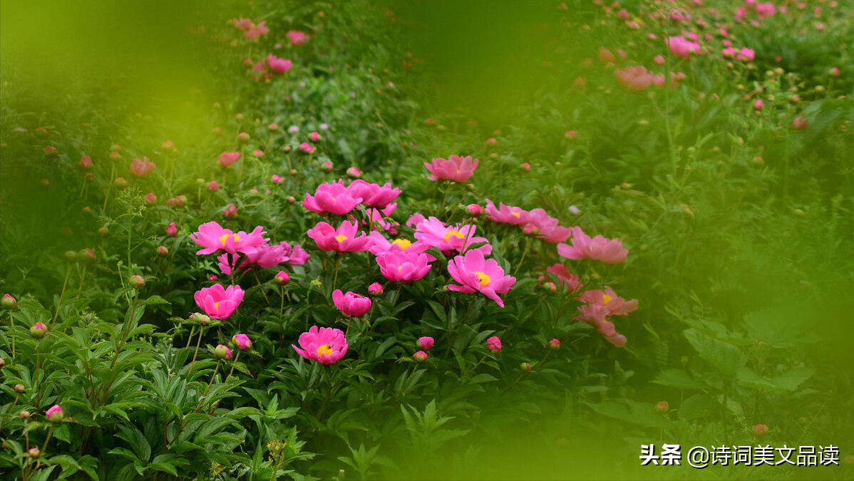 古诗文中的绝美成语：读之，朗朗上口；思之，意境深远