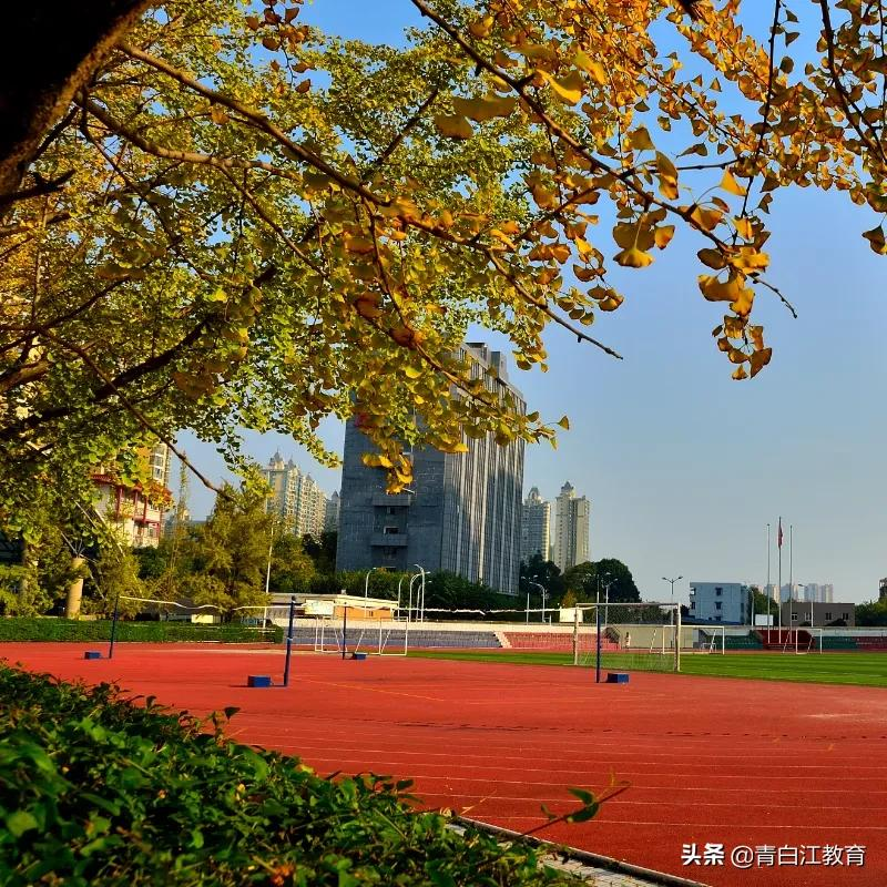 秋冬美图来袭① | 为你喜欢的校园美景投票吧