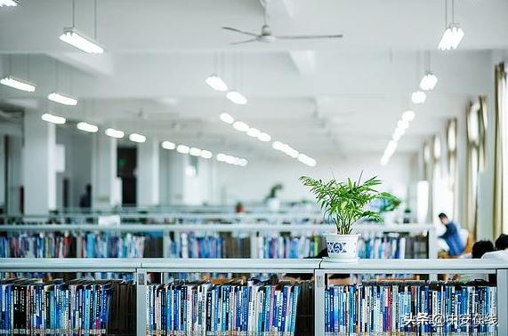 薪资40万起，上不封顶！芜湖高校“硬核招人”