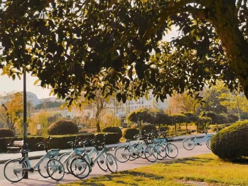 来金陵城，观长江波澜，枕九乡水脉，与南京财经大学共奋进