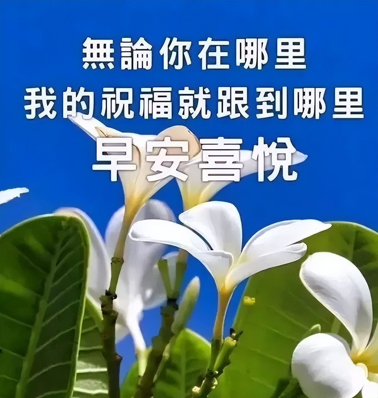 周一早安心语正能量语句 新周早上好励志句子 珍惜身边人 善待所有缘