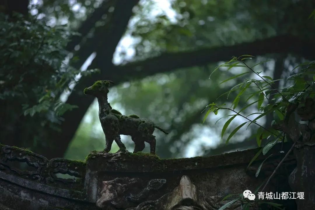 都江堰的六月！烟雨入古堰，山水云雾起......成都出发1h抵达的23℃避暑胜地！这个夏天一定要这样玩～