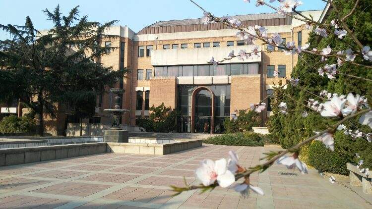 1996年，28岁清华才女不顾劝阻远嫁非洲，后来有了四个混血宝宝