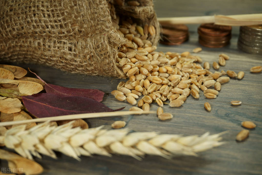 小麦今日价格4月8日「小麦今日价格最新行情走势」