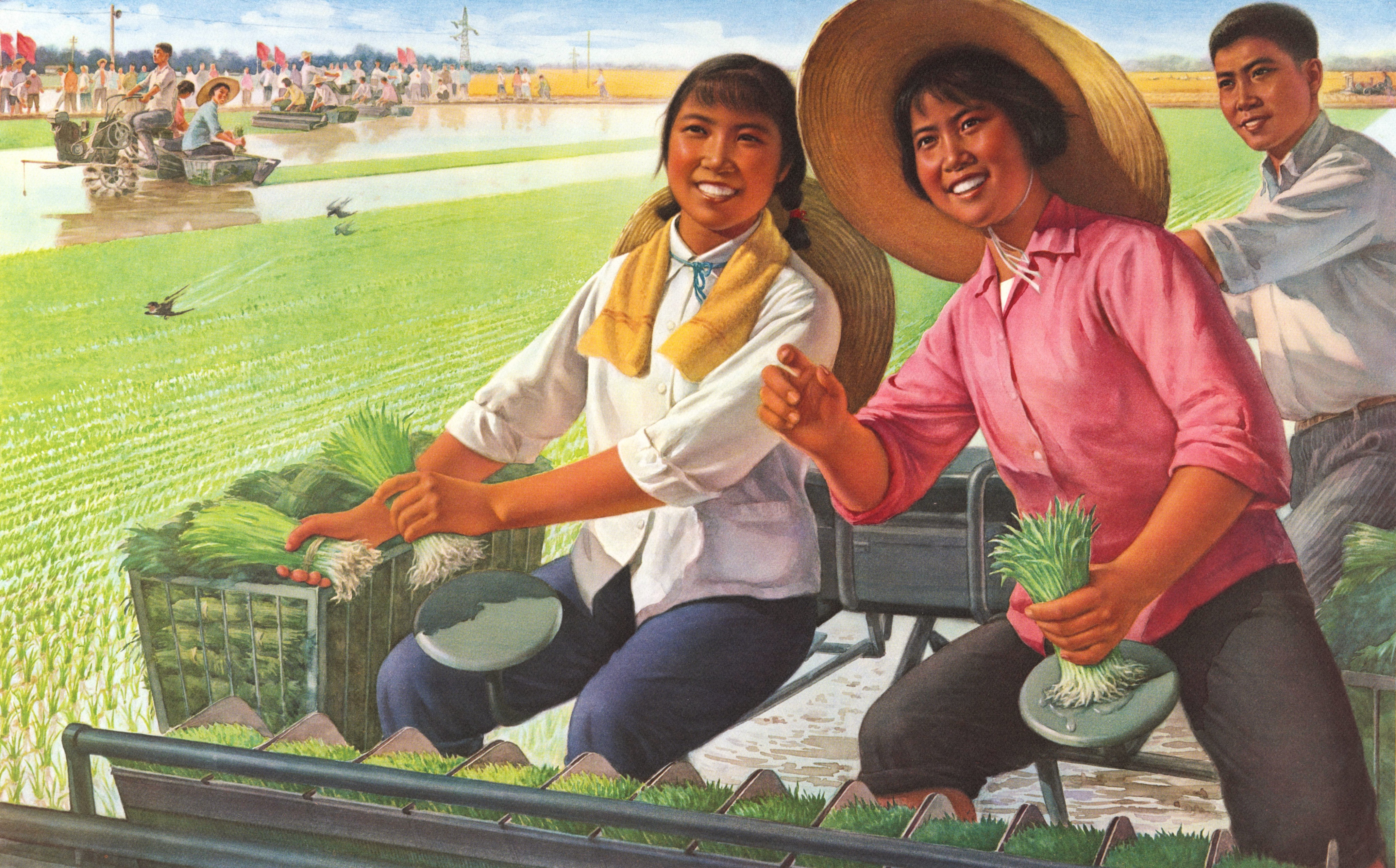 七十年代歌曲 七零后歌曲大全100首-双佳迪百科