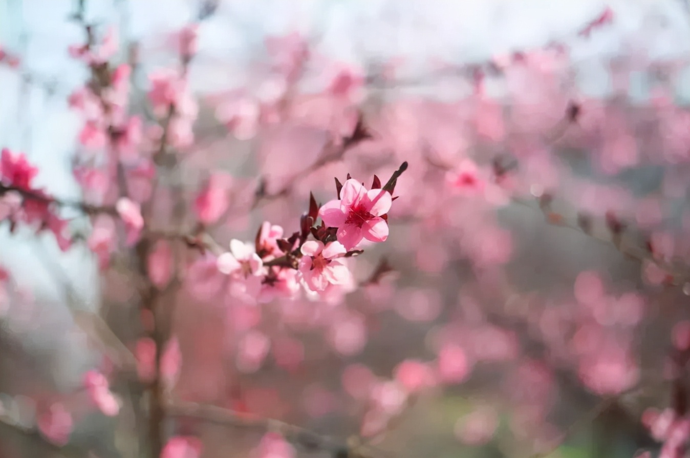 地铁双线直达，毗邻5A景区！陕西这所高颜值大学，“校花”云集