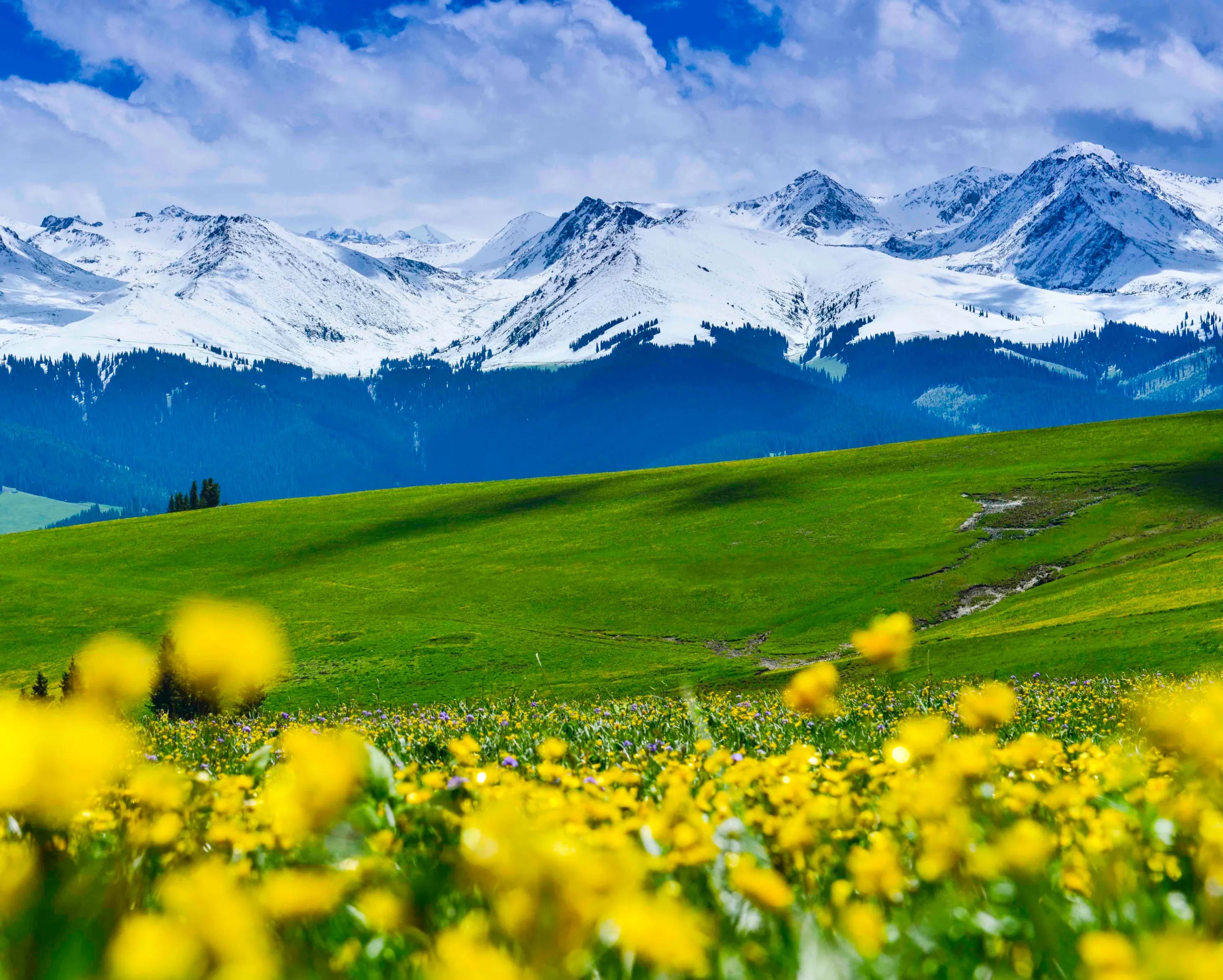 平静的图片 心情(静心和心静才是人生最美好的境界)