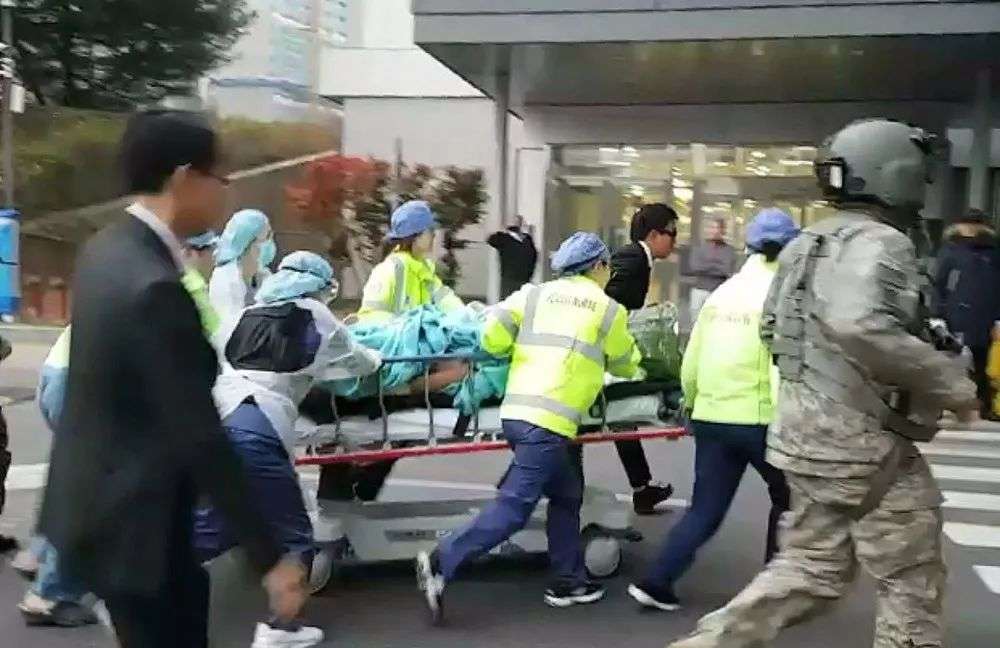 红火蚁在江西出现，看见它赶紧远离，及时报告