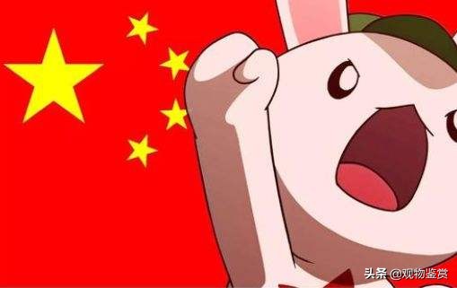種花家的兔子什么意思，角色形象是什么，種花家的經典語錄有哪些