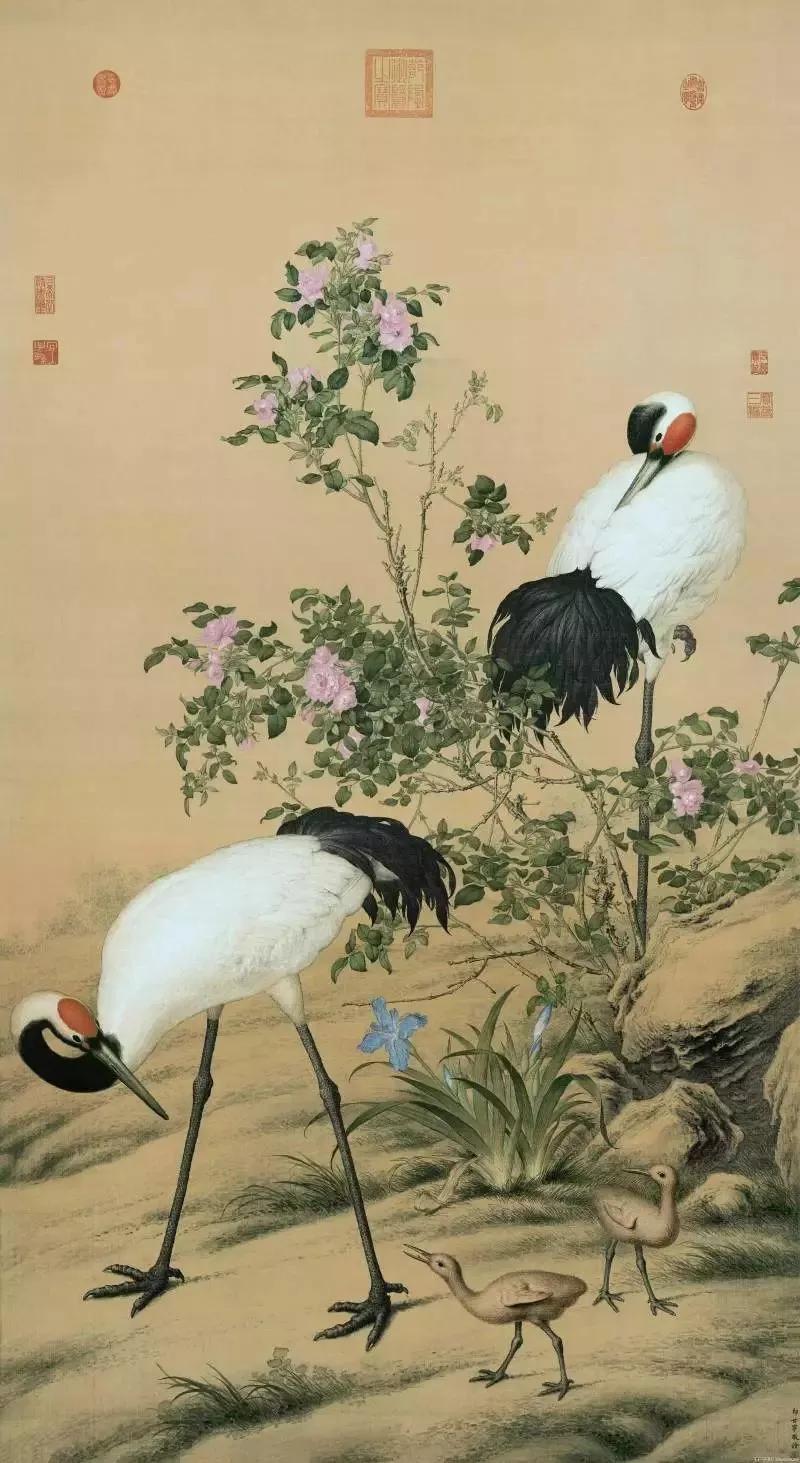 清代宫廷画家郎世宁的（清代宫廷画家郎世宁的什么图描绘了姿态各异之骏马白皮）-第24张图片-悠嘻资讯网