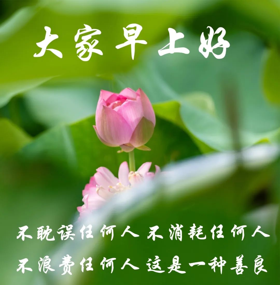 亲爱的亲人朋友,早上好!祝愿您一生健康,幸福,平安