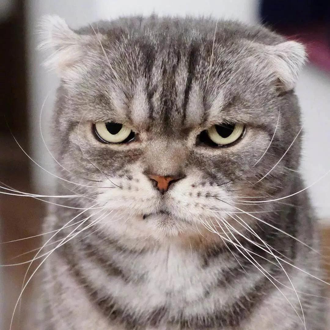 她终于撑不住了，开始紧急招聘男朋友