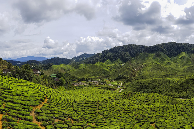 男人虚了怎么办（男人肾虚怎么办？中医：这样调理很管用）
