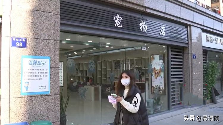 浙江一女子买到“病猫”，老板耍无赖：这是换环境的正常现象