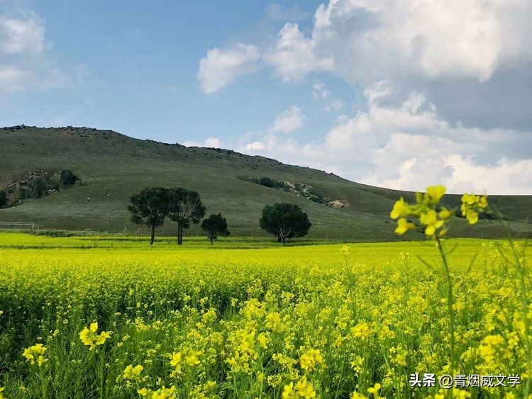 桃红柳绿蜂蝶舞 如月风景美如画（诗六首）