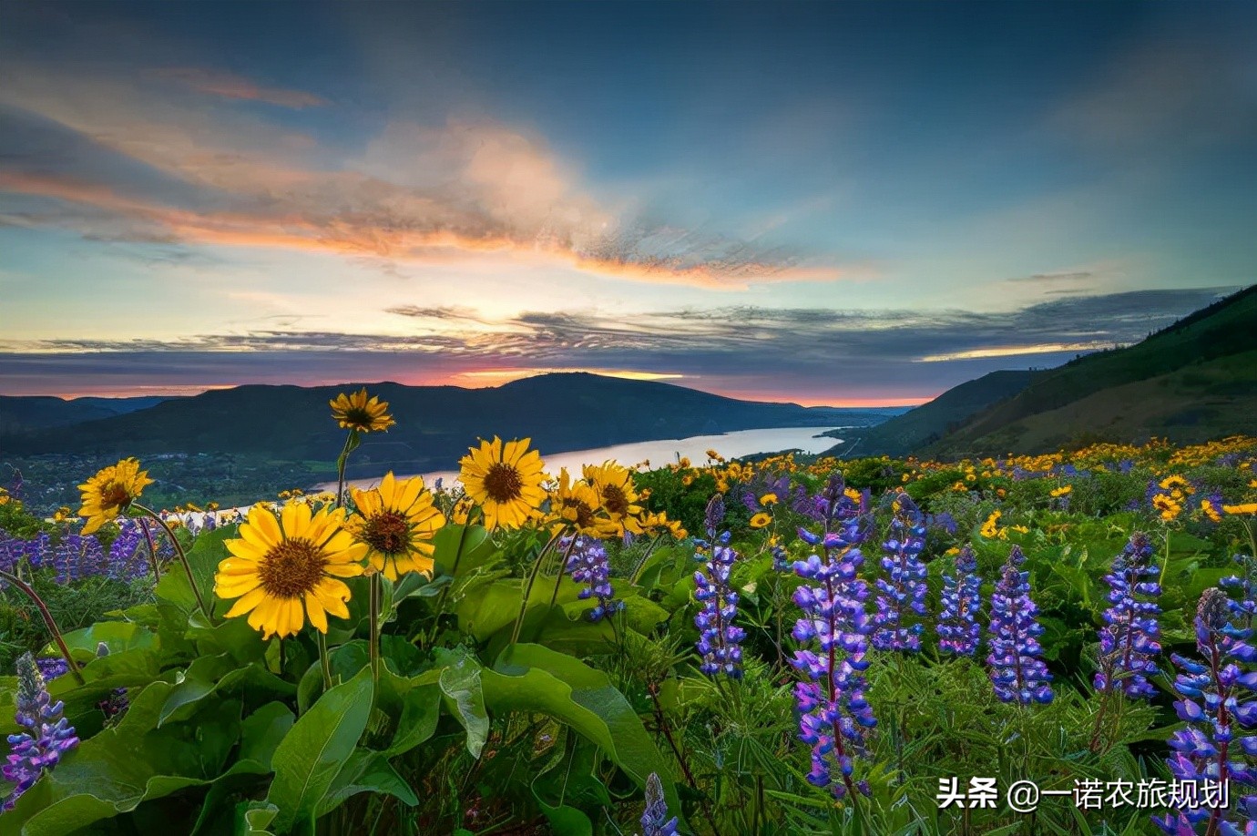 乡村振兴：土地、资金与收益