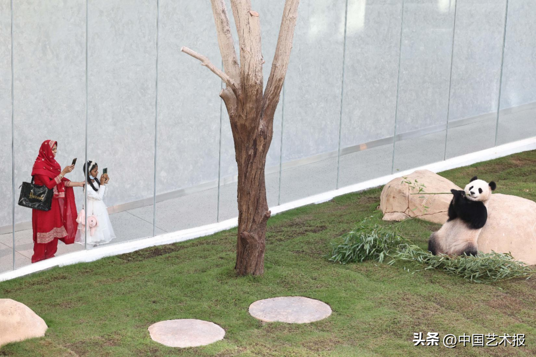 2022世界杯口号（世界杯特别贡献奖获得者刘占崑｜2022卡塔尔世界杯：现在就是一切！）