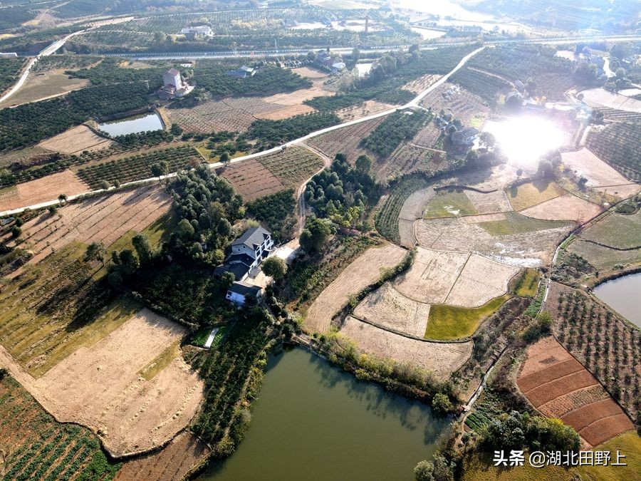 見(jiàn)證一個(gè)柑橘產(chǎn)業(yè)大村——鴉鵲嶺鎮(zhèn)云臺(tái)村回訪小記