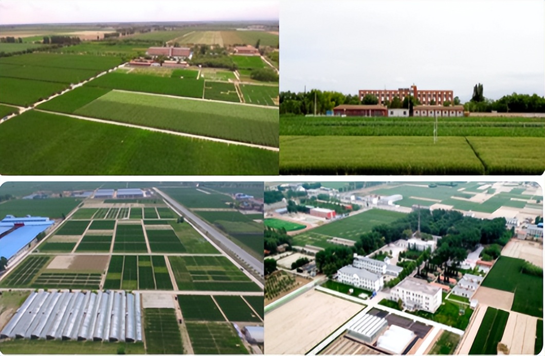 回眸2021：高水平推进科技自立自强，打造国家战略科技力量