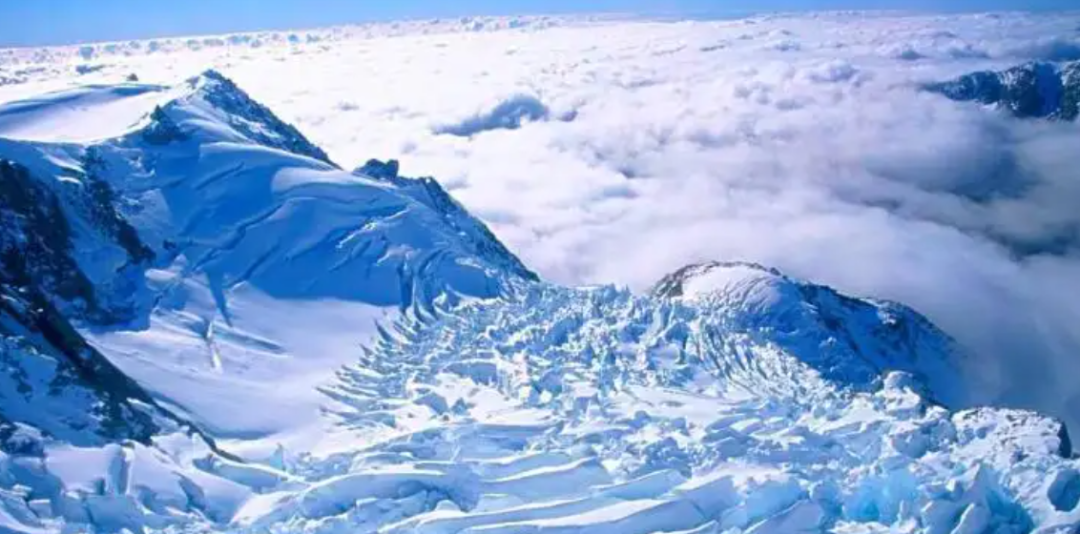 人类没发展出攻击性器官？其实有四大攻击手段，只是我们浑然不知