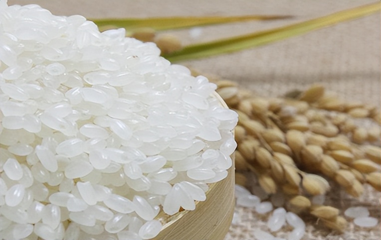 粳米怎么读？粳米的读音和意思