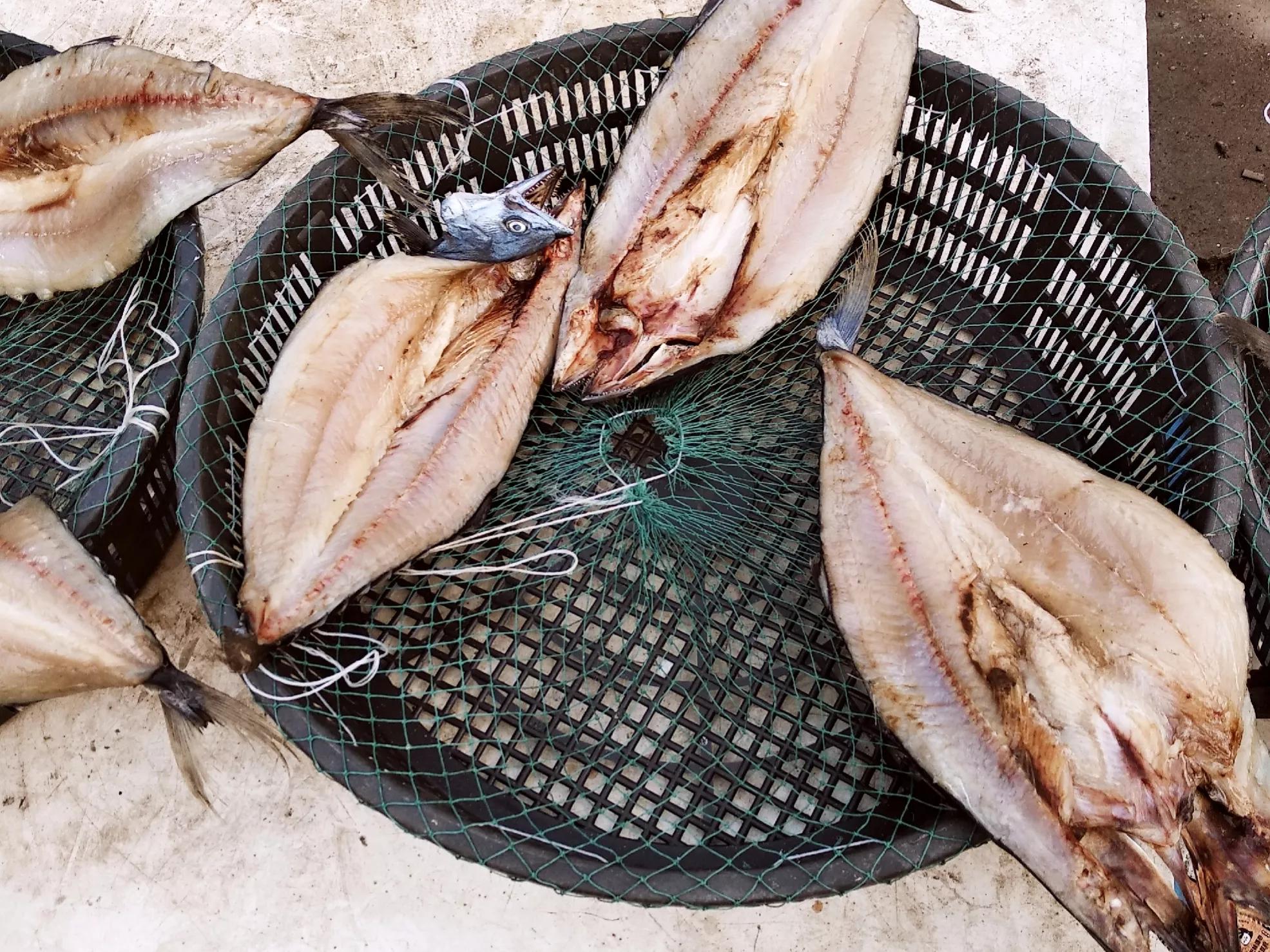 腌咸鱼的注意事项