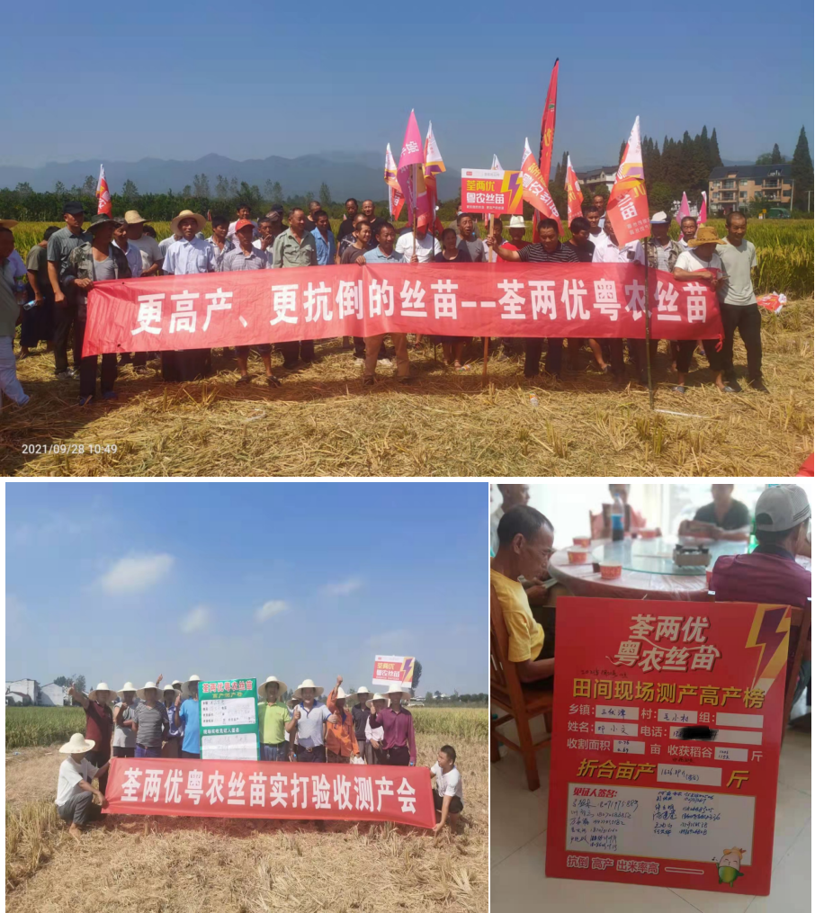 荃能稻·荃两优粤农丝苗—再生稻栽培技术指导
